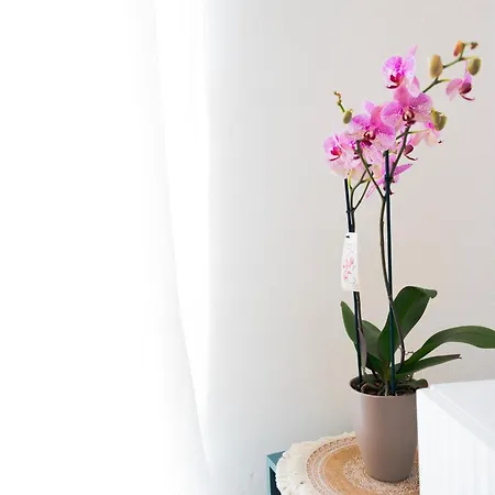 Luminoso Vicino Alle Cinque Terre La Spezia